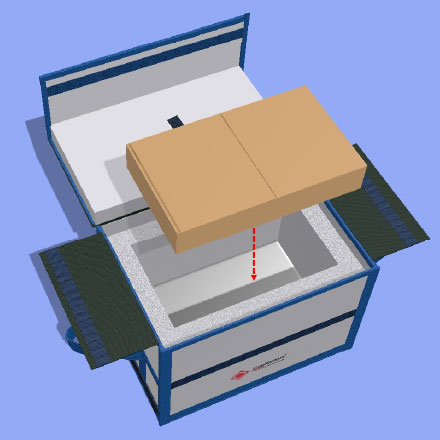 Payload box